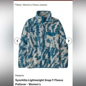 Patagonia Synchilla Lightweight Snap-T Fleece Pullover